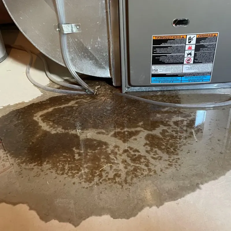 Pipe Burst and Leak Restoration in Flower Hill, NY